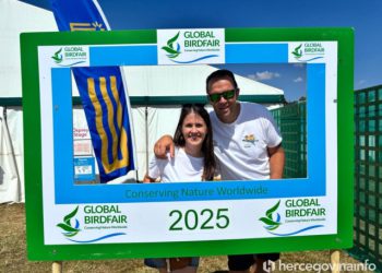 FOTO Put od Sturbe do Engleske: Kako su Marija i Ante oduševili birdwatching elitu Livanjskim poljem