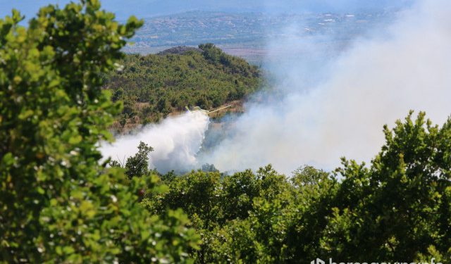 FOTO Veliki požar kod Stoca ugašen, opožareno 50 hektara područja