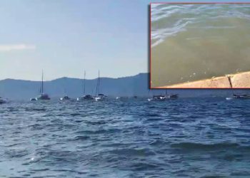 Fekalije plivaju po splitskoj lučici