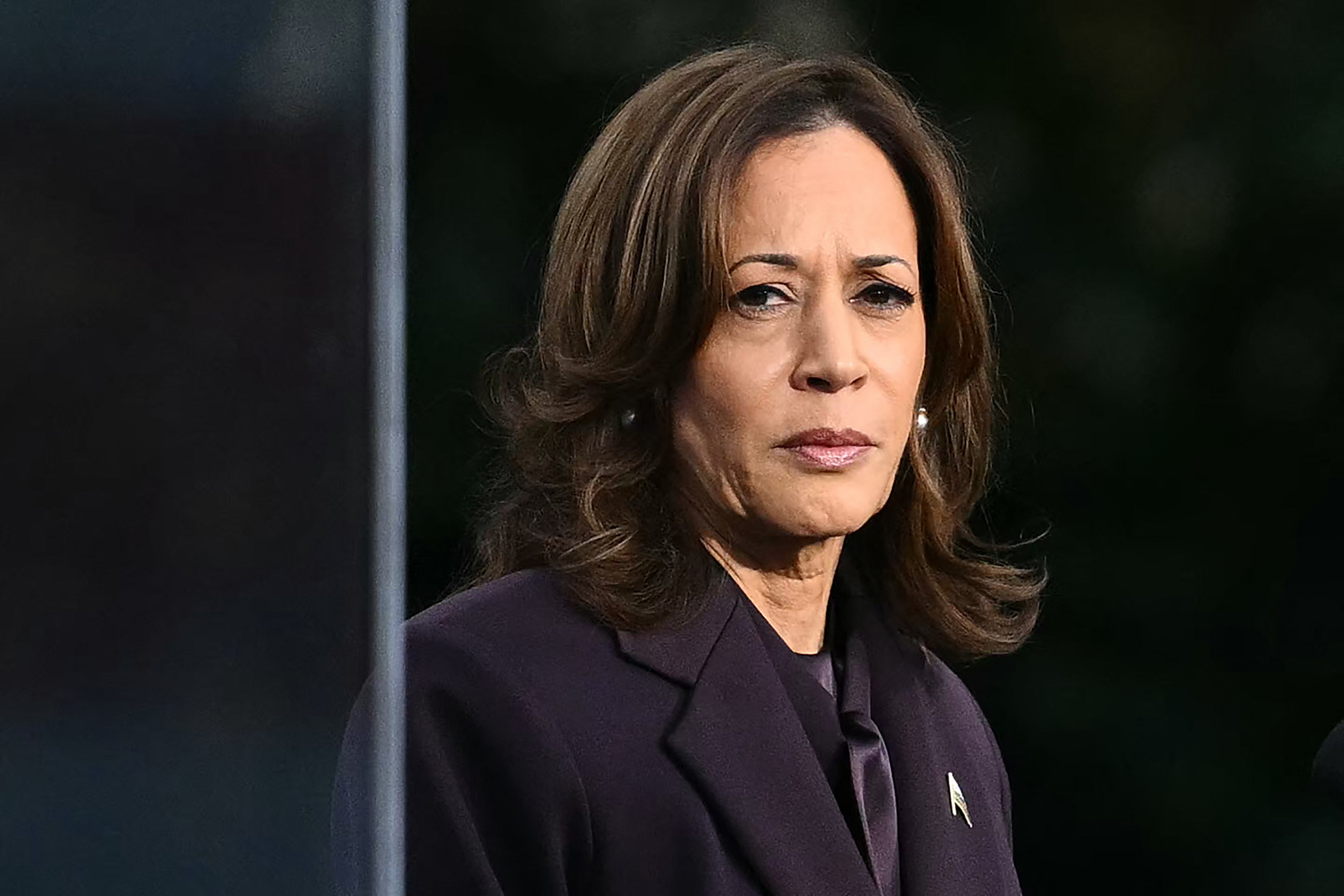 U jeku bivšeg potpredsjednika Kamale Harris 2024. godine, demokrati su se suočili s kritikom