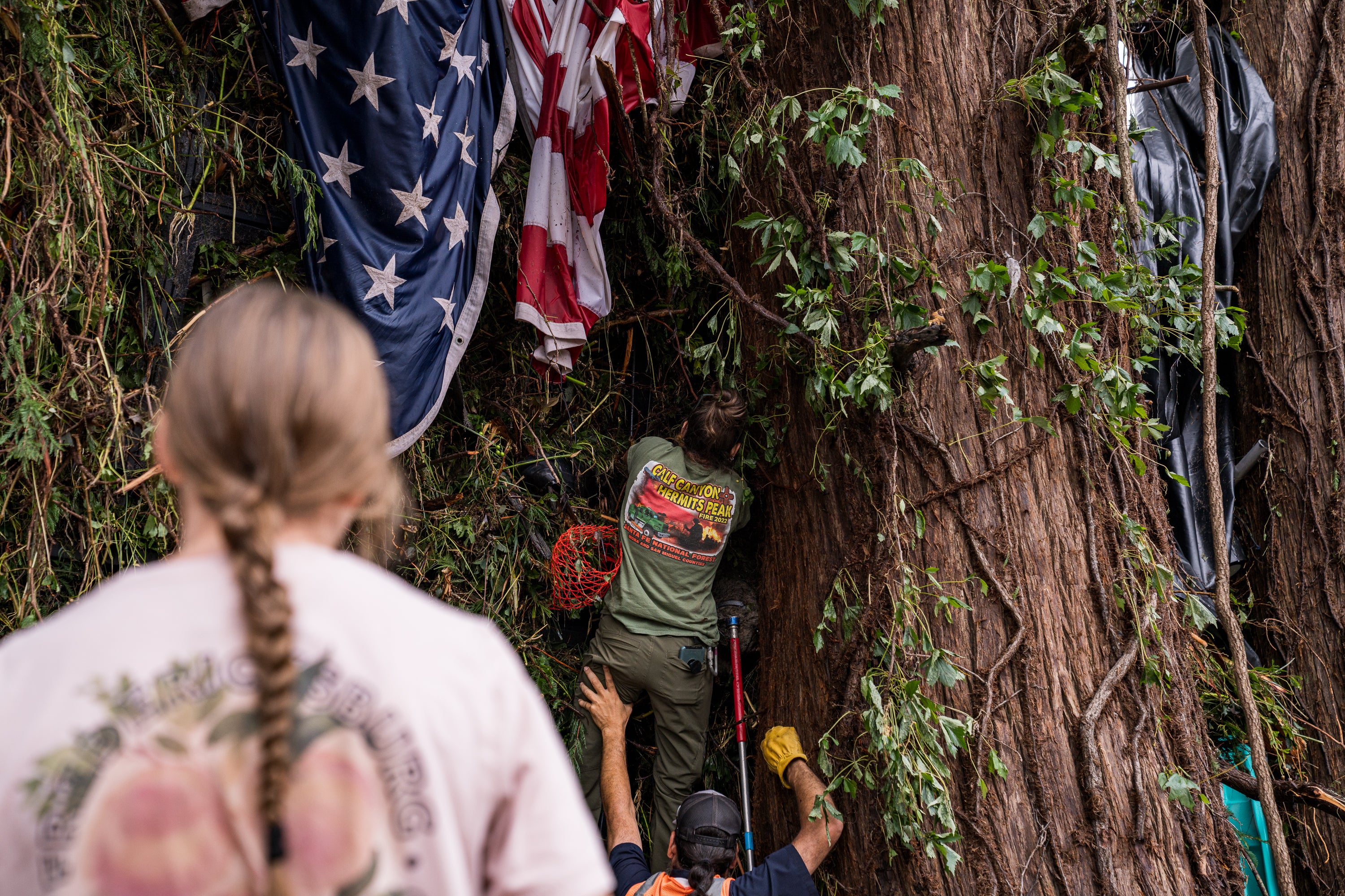 Stanovnici i dužnosnici rade na oporavku ostataka psa iz stabla čempresa u Kerrvilleu u Teksasu. Više od 50 životinja prevezeno je u neprofitno sklonište iz okruga Kerr i obližnji Williamson