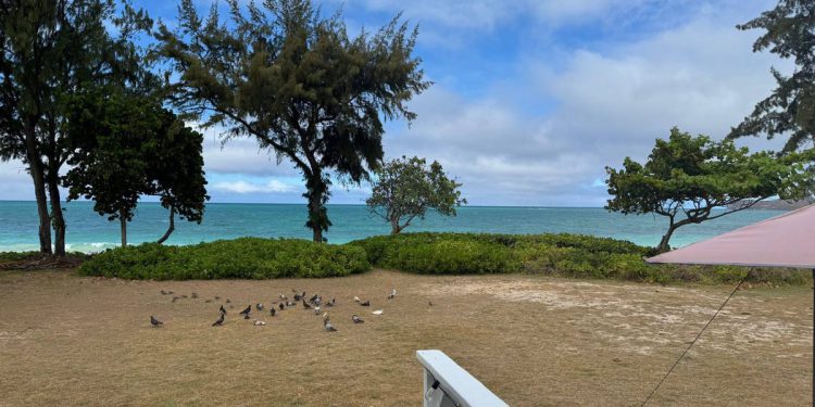 Građani se mogu vratiti kućama