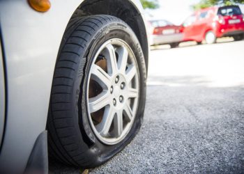 Grupa mladih Srba otišla na odmor u Zadar, ali već prvo jutro imali su što i vidjeti: “Zatekli smo nemillu scenu!”