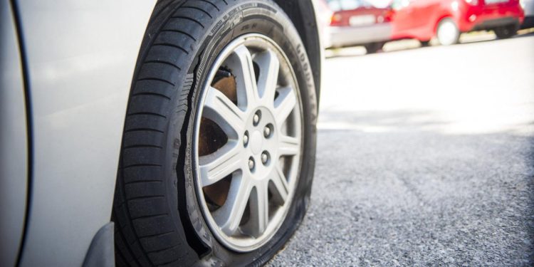 Grupa mladih Srba otišla na odmor u Zadar, ali već prvo jutro imali su što i vidjeti: “Zatekli smo nemillu scenu!”