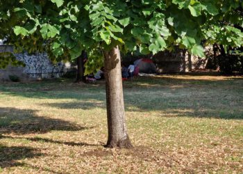 Ilegalno kampiranje u Mostaru: Redari ih potjeraju, oni se premjeste na novo mjesto