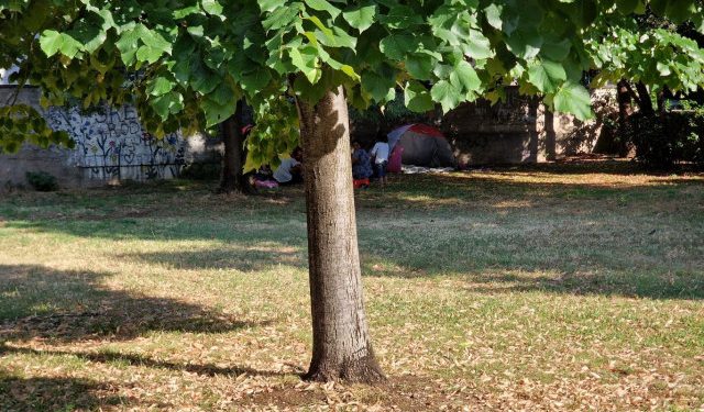 Ilegalno kampiranje u Mostaru: Redari ih potjeraju, oni se premjeste na novo mjesto