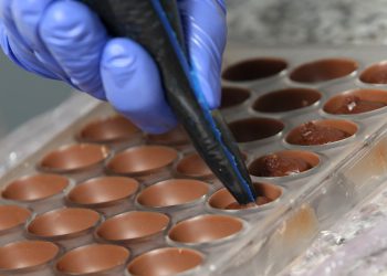 ‘Inflacija čokolade’ do rekordnih razina, cijene vrtoglavo rastu, Hrvatska i EU ovise o Zapadnoj Africi