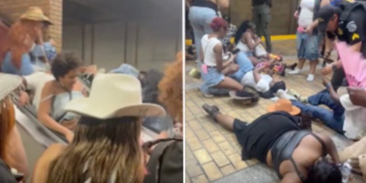 Insekt je možda uzrokovao Stampede nakon koncerta Beyoncé