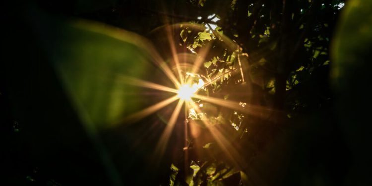 Izvanredni fenomen na grobu velikog sveca: Stanovnici svjedoci čudesnog svjetla