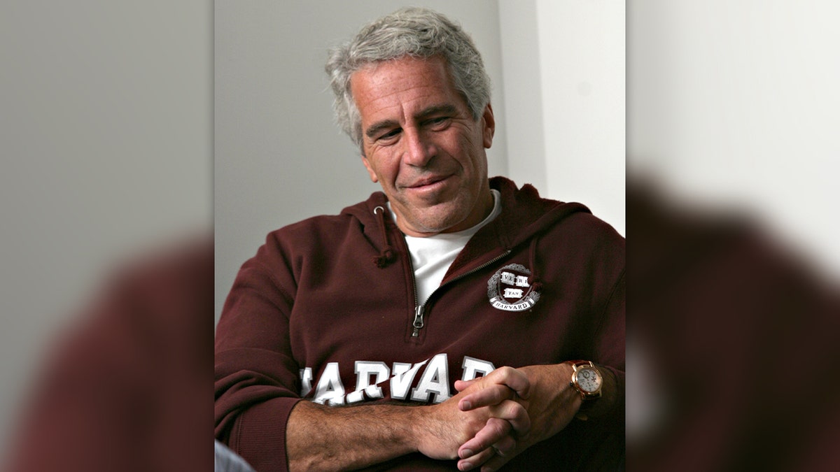 Jeffrey Epstein Harvard džemper