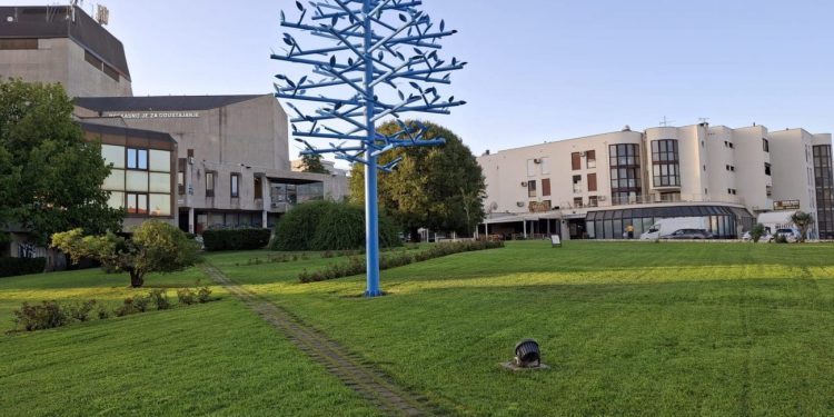 Jeste li primijetili ovo neobično stablo u Splitu? Evo o čemu se radi