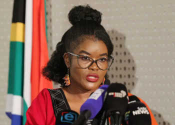 Južnoafrički predsjednik ministar požara – RT Afrika