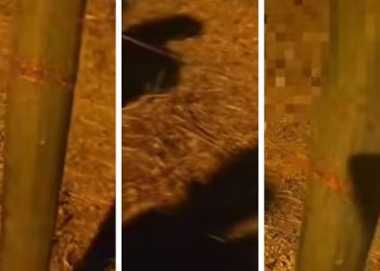 KAKAV OBRAT NA ČIOVU Policija istraživala slučaj s krenom, nevjerojatno je što su otkrili