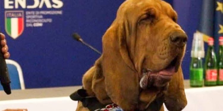 Kako je brutalno ubojstvo psa za njuškalo ogorčeno Italiju