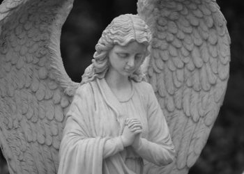 Kako se približiti anđelu čuvaru? Savjeti Carla Acutisa dijele se svijetom