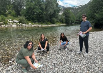 Konjic pod prijetnjom invazivnih biljaka: Znanstvena istraživanja otkrila žarišta opasnih vrsta