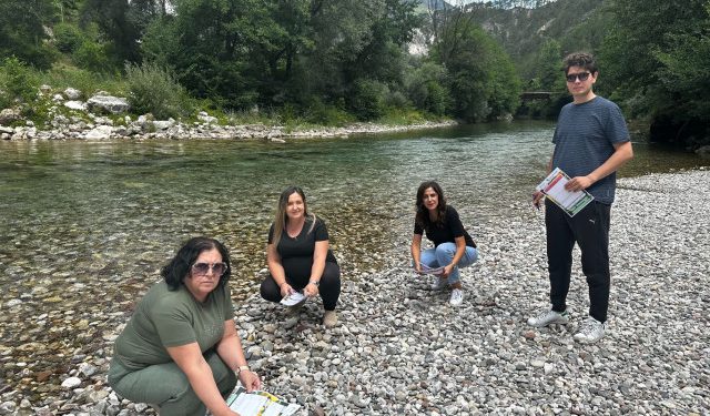 Konjic pod prijetnjom invazivnih biljaka: Znanstvena istraživanja otkrila žarišta opasnih vrsta