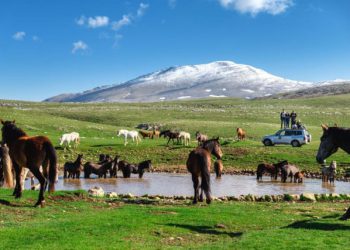 Livnjaci ne žele vjetropark na Kruzima, traže proglašenje zaštićenog krajolika