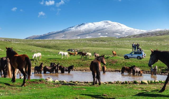 Livnjaci ne žele vjetropark na Kruzima, traže proglašenje zaštićenog krajolika