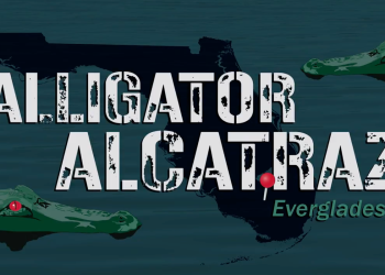 Maga zvijezda iskrivljena za veselo promicanje ‘službenog aligatora Alcatraz Merch’: ‘Banalnost zla’