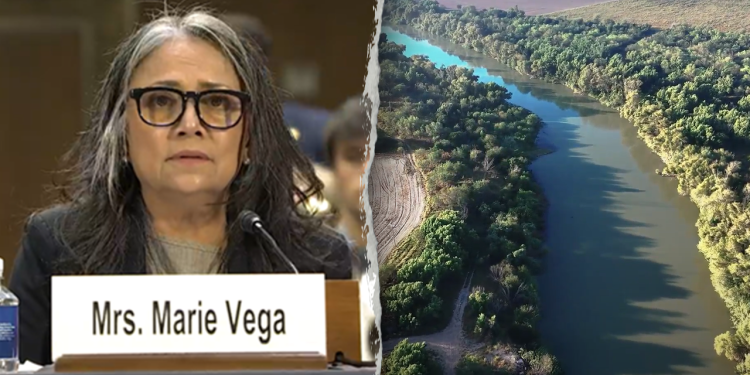 Majka dijeli svjedočanstvo o sinu o sinu koji su pucali ilegalni imigranti