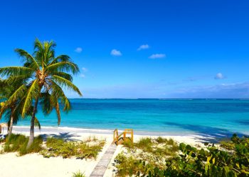 Masovna pucnjava na noćnim klubovima Turks i Caicos ostavi 3 mrtva, 10 ranjenih