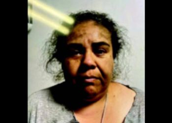 Nedokumentirana žena inscenirala je lažna otmica leda kako bi stvorila simpatiju i donacije, tvrdi DOJ