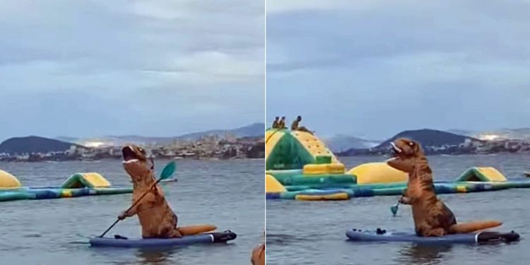 Neobični gost na morui: Pogledajte kako je dinosaur na SUP-u ukrao je show na podstranskoj plaži!