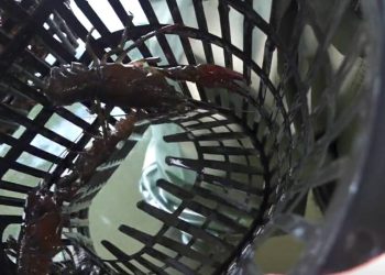 Ni rijeke nisu pošteđene promjena