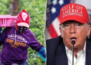 Novi Trumpov plan omogućuje poljoprivrednicima da se jamče za ilegalne migrante kako bi spriječili deportaciju