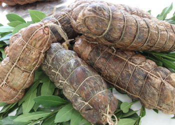 Održana tradicionalna 23. po redu Ninska šokolijada