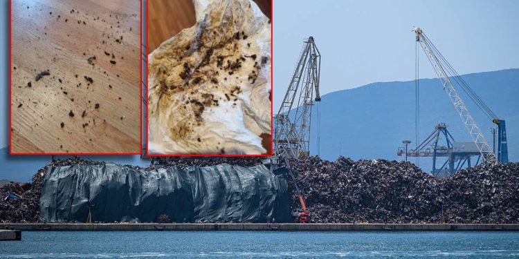 Ogorčeni Pločanin: “Nakon juga, ovo su slike iz apartmana kojeg od luke dijeli brdo sa šumom