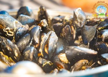 Osmo izdanje paškog sajma “Od Luna do Fortice” okuplja otočne proizvođače