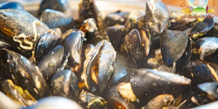 Osmo izdanje paškog sajma “Od Luna do Fortice” okuplja otočne proizvođače