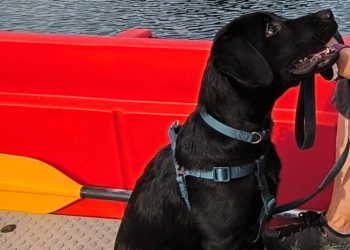 Ovo je Marley – nova zvijezda zadarskog HGSS