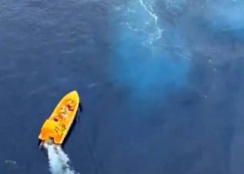 PRAVO ČUDO Curica pala u more s Disneyjevog kruzera, otac skočio za njom, a onda je krenula akcija spašavanja!