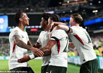 Palmeiras 1-2 Chelsea: Kasni vlastiti gol vidi Blues Reaching polufinale Club Svjetskog kupa nakon što Estevao omamljuje buduće suigrače s sjajnim štrajkom