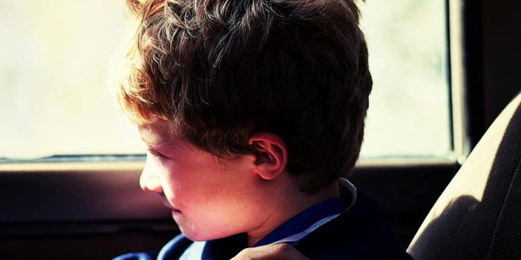 Pazite na djecu i životinje jer vrućine u automobilima mogu biti kobne