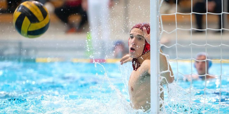 Peterci odlučili pobjednika: Špilar obranio, Brajević pogodio, Jug Adriatic osiguranje na vrhu skupine