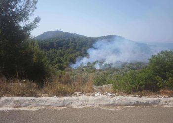 Planula šuma u Saplunari, u pomoć stiže i kanader (FOTO)