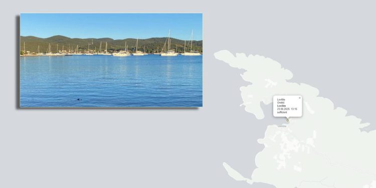 Pogledajte zašto je ovdje kvaliteta mora dokazano poražavajuće niska!