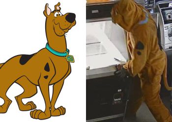 Policija lov na Scooby-Doo nakon što se kostimirani muškarac provali u dućan, krade gotovinu, ali nema grickalica