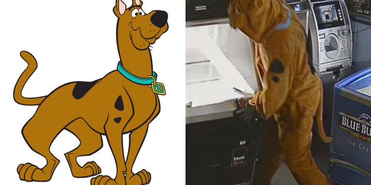 Policija lov na Scooby-Doo nakon što se kostimirani muškarac provali u dućan, krade gotovinu, ali nema grickalica