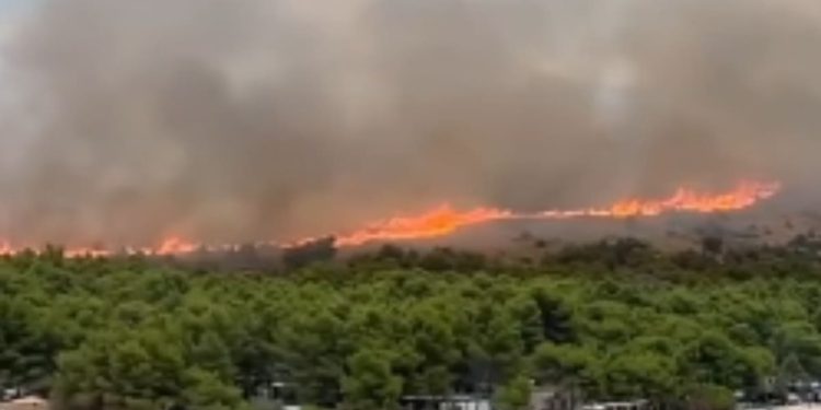 Požar u Dalmaciji bukti: Nova snimka pokazuje koliko je situacija ozbiljna!