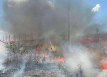 Požar u Vrapčićima: Gorjela trava, nisko raslinje i pomoćni objekt u blizini stadiona Rođeni