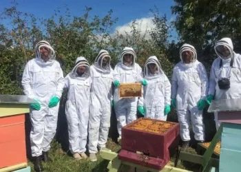 Poziv pčelarima: Prijavite se na III. ocjenjivanje kvalitete meda u Livnu