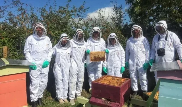 Poziv pčelarima: Prijavite se na III. ocjenjivanje kvalitete meda u Livnu