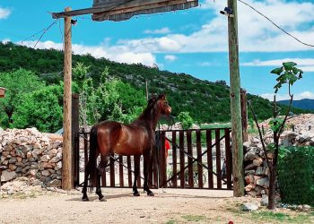 Prije dva mjeseca ovaj OPG u Zagori snašla je velika tragedija: “Kada se činilo da od svega više nema ništa, pojavila se prava vojska ljudi”