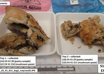 Prve fotografije smrtonosne govedine Wellington jela koju je skuhala Erin Patterson objavljena