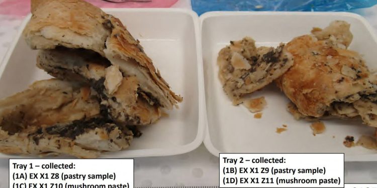 Prve fotografije smrtonosne govedine Wellington jela koju je skuhala Erin Patterson objavljena